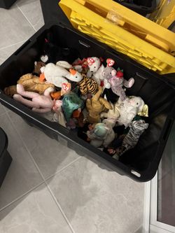 Rare TY Beanie Babies Bulk