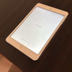 Apple iPad Mini - First Gen - 16 GB -Slightly Used 