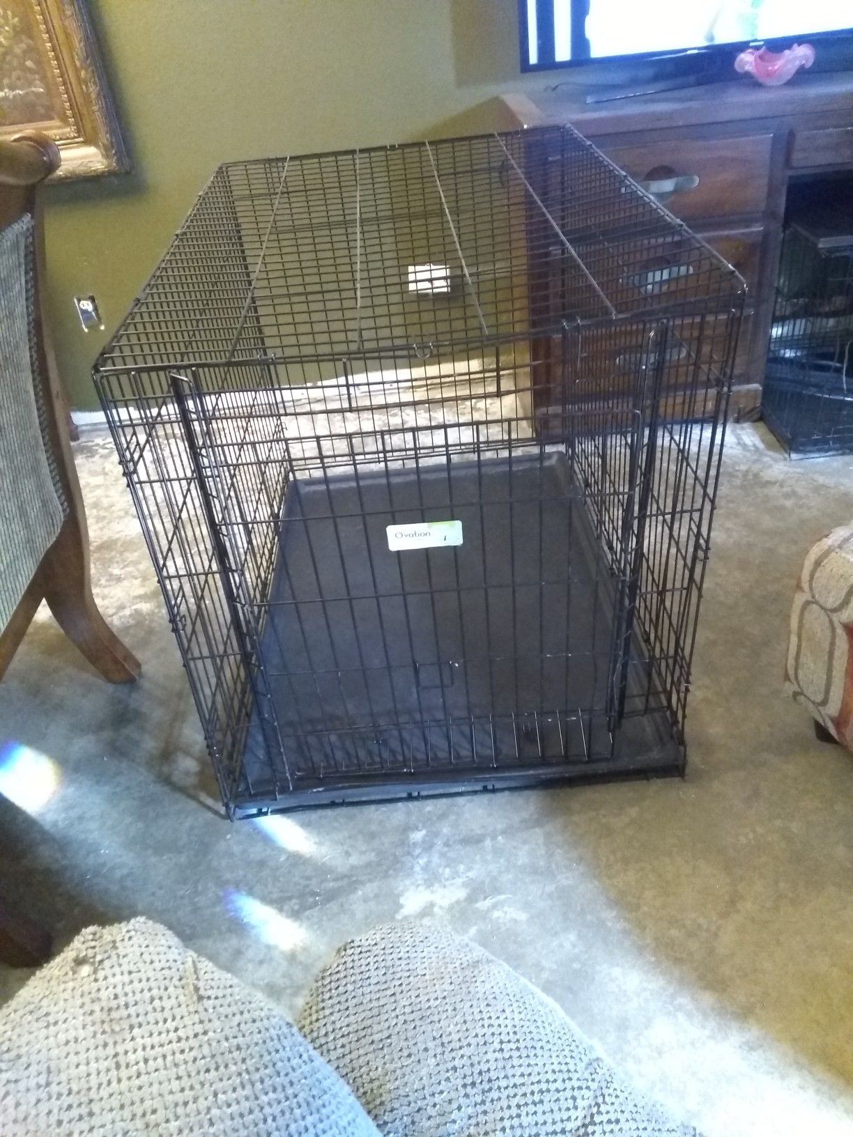 Dog Cage