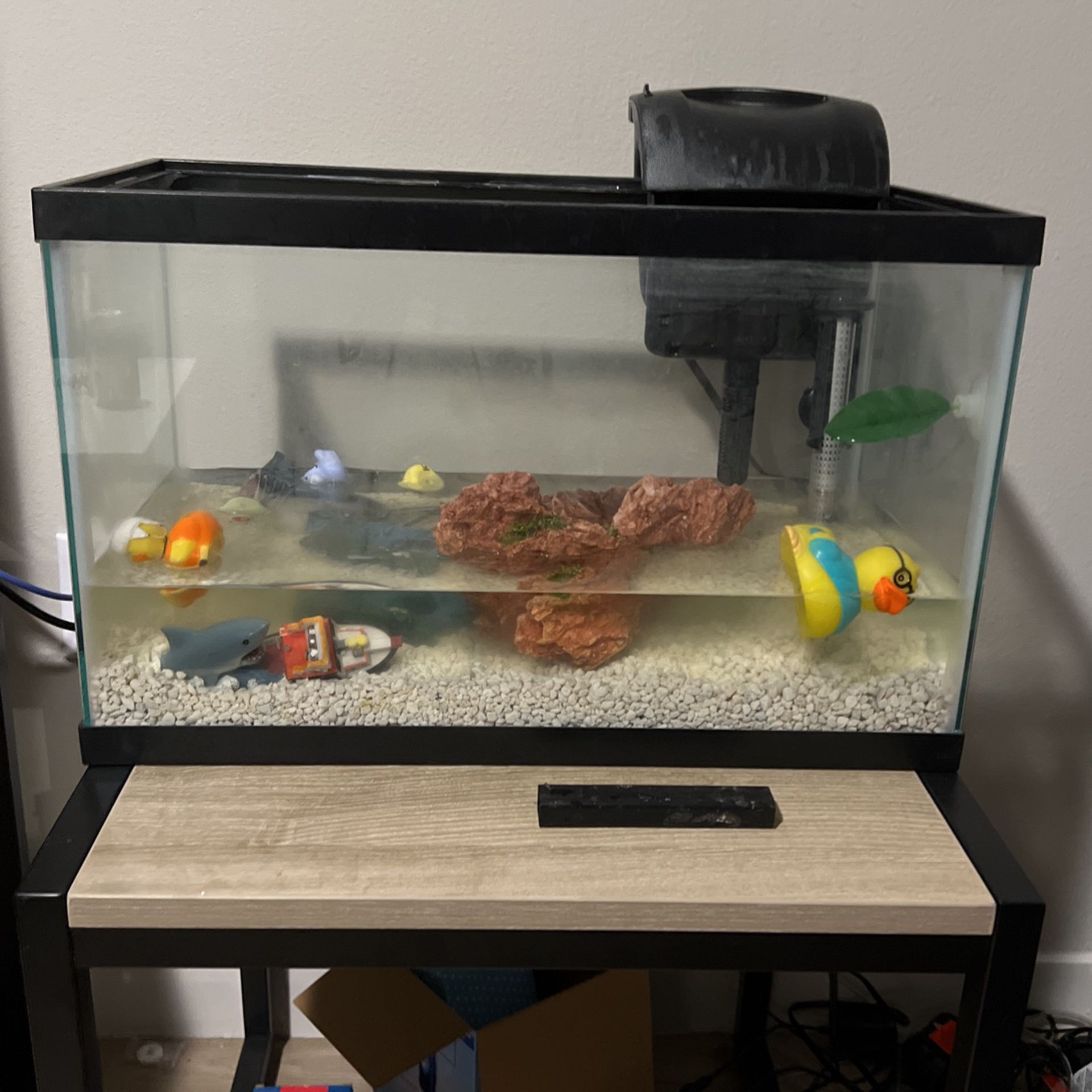 Fish Tank (including Heater, Filter, Rocks)