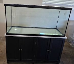 80 gallon acrylic aquarium