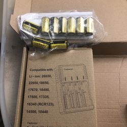 Battery Charger With Batteries 