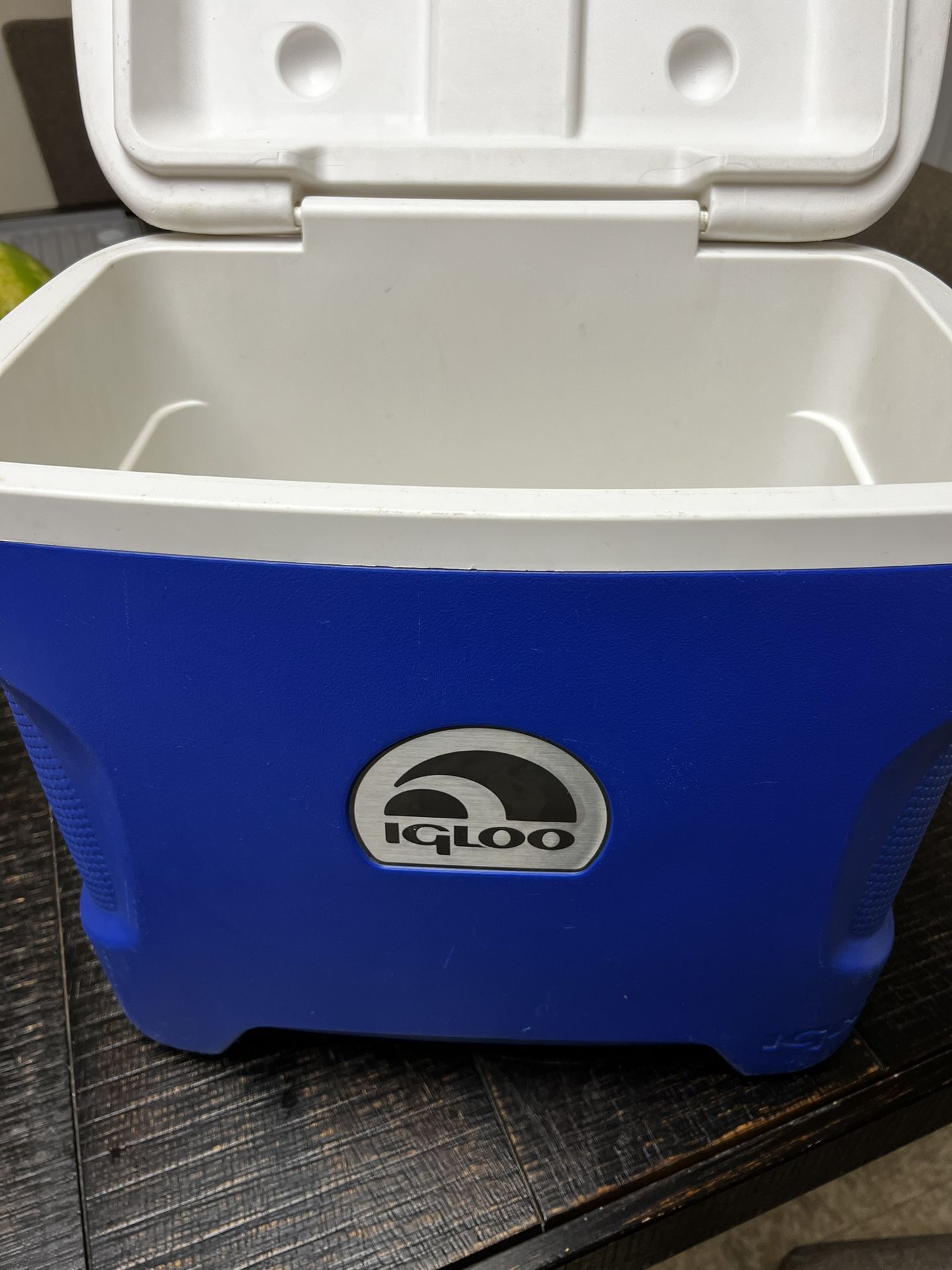 Igloo Cooler