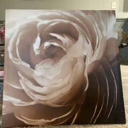 Decor - Framed Rose Flower Photograph 