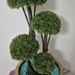Faux Cedar Topiary with Turquoise Stone in a 15" Resin Planter @ Lasting Creations