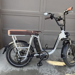 Electric Bike RadRunner Plus 