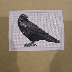 Raven Diamond Art