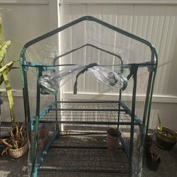 Greenhouse