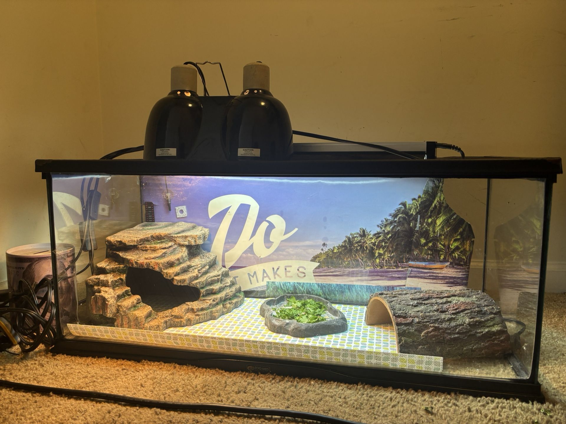 Zoo Med 20 Gallon Tank