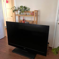 SANYO 55 Inch Tv