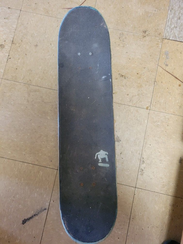 Adult Skateboard