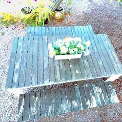 Picnic Table 