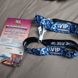 2 Vip Tickets/ Arm Bands To Reggae Rise Up Saturday March 16th Venoy Park St Pete Florida 