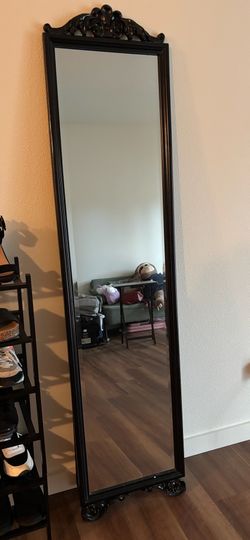 Whole body mirror