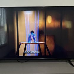Vizio 55 inch UHD TV (D55u-D1)