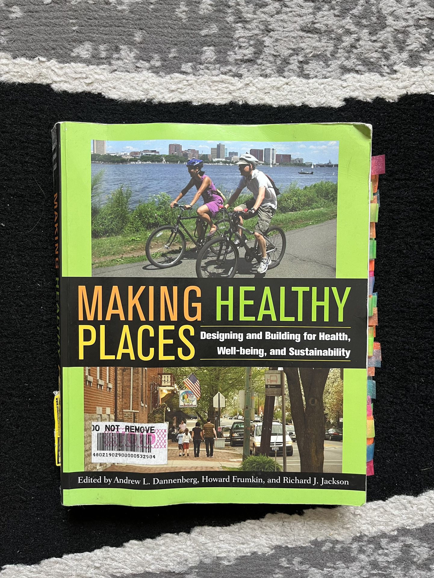 Making Healthy Places Book