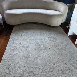Couch Plus Carpet