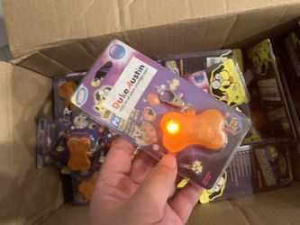 Pet pendant with light