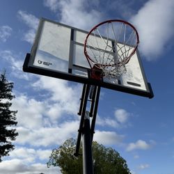 Basketball Hoop 