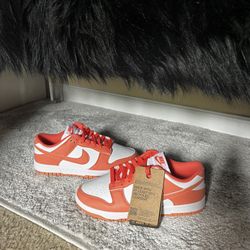 Women’s Nike Dunks Low Size 7 New W/ Tags