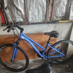 Women's Bike 28"