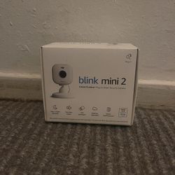 Blink Mini 2 