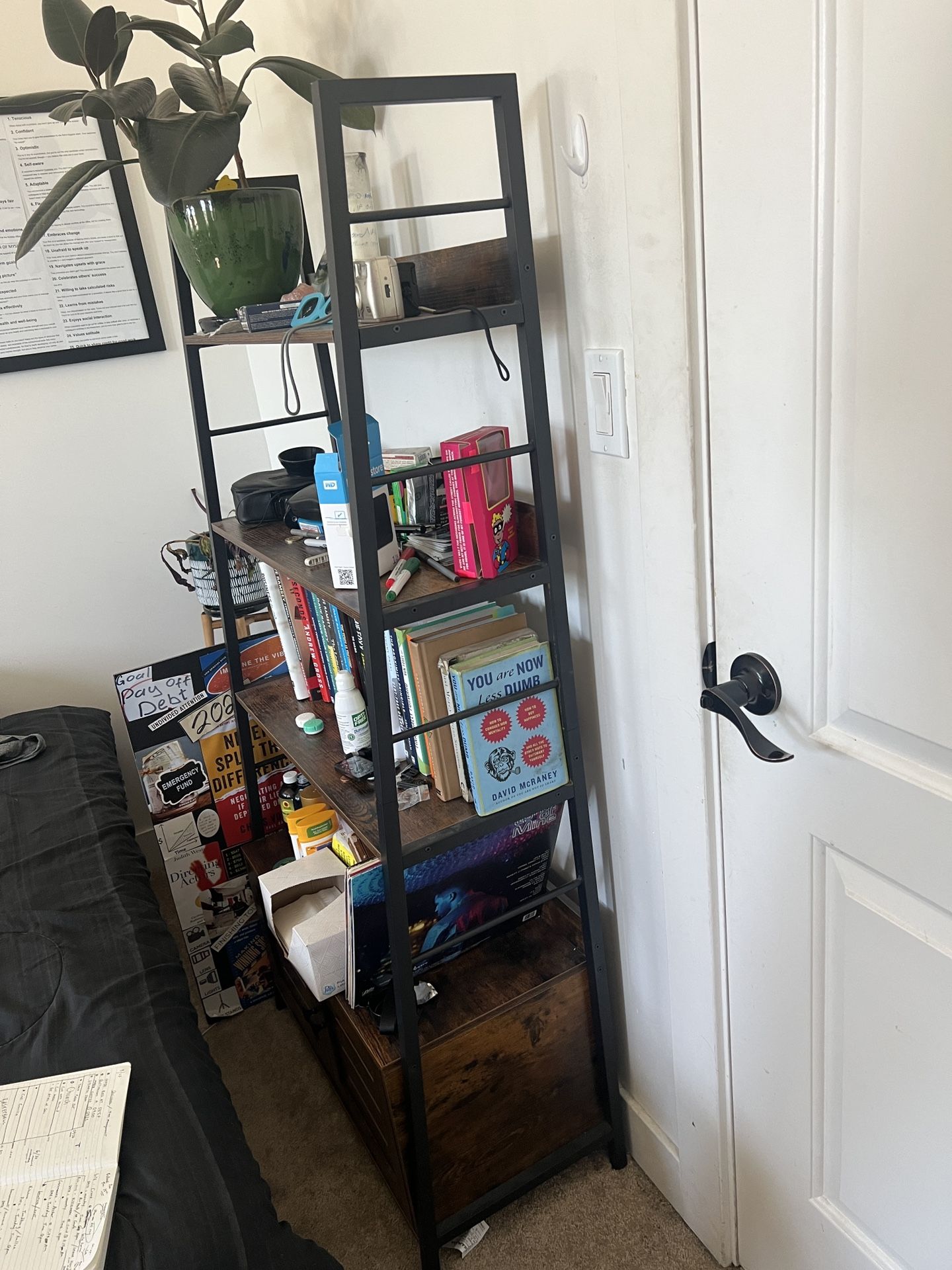 Kyesha Ladder Storage Bookcase