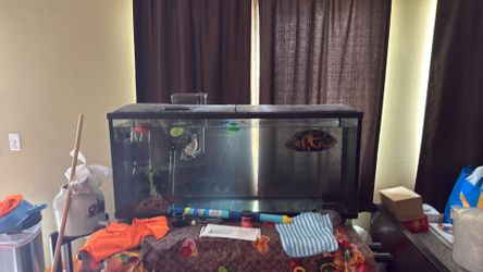 55 gallon fish tank