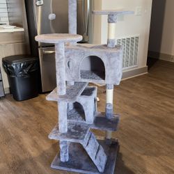 Castle 🏰 Cats 🐈 🐈‍⬛ 