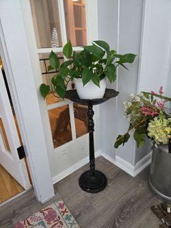 Bird bath metal i use for a plant stand