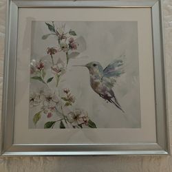 Silver Framed Art Of A Hummingbird