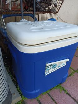 Cooler No Cracks Just Need Clean