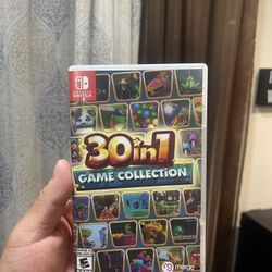 Nintendo Switch 30 in 1 video game