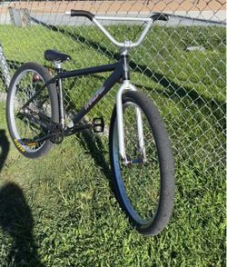 Throne 29er
