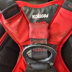 Protecta body harness