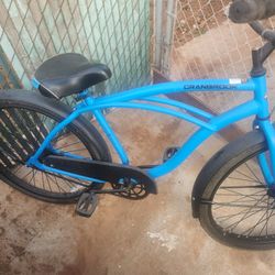 Beach Cruiser Bike