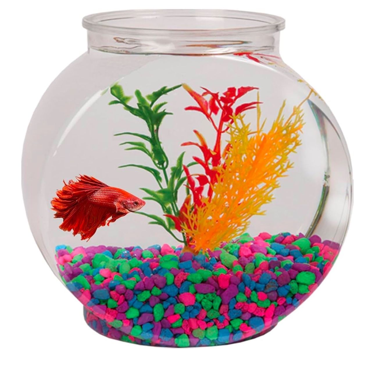 Fish bowl For Betta