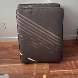 Two big Couch Pillows