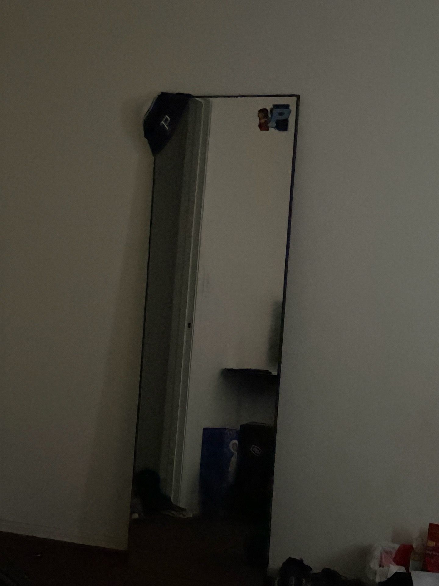 64x21 full body mirror for bedroom/living room decor/appliance