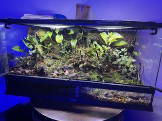 Bioactive River Paladarium 