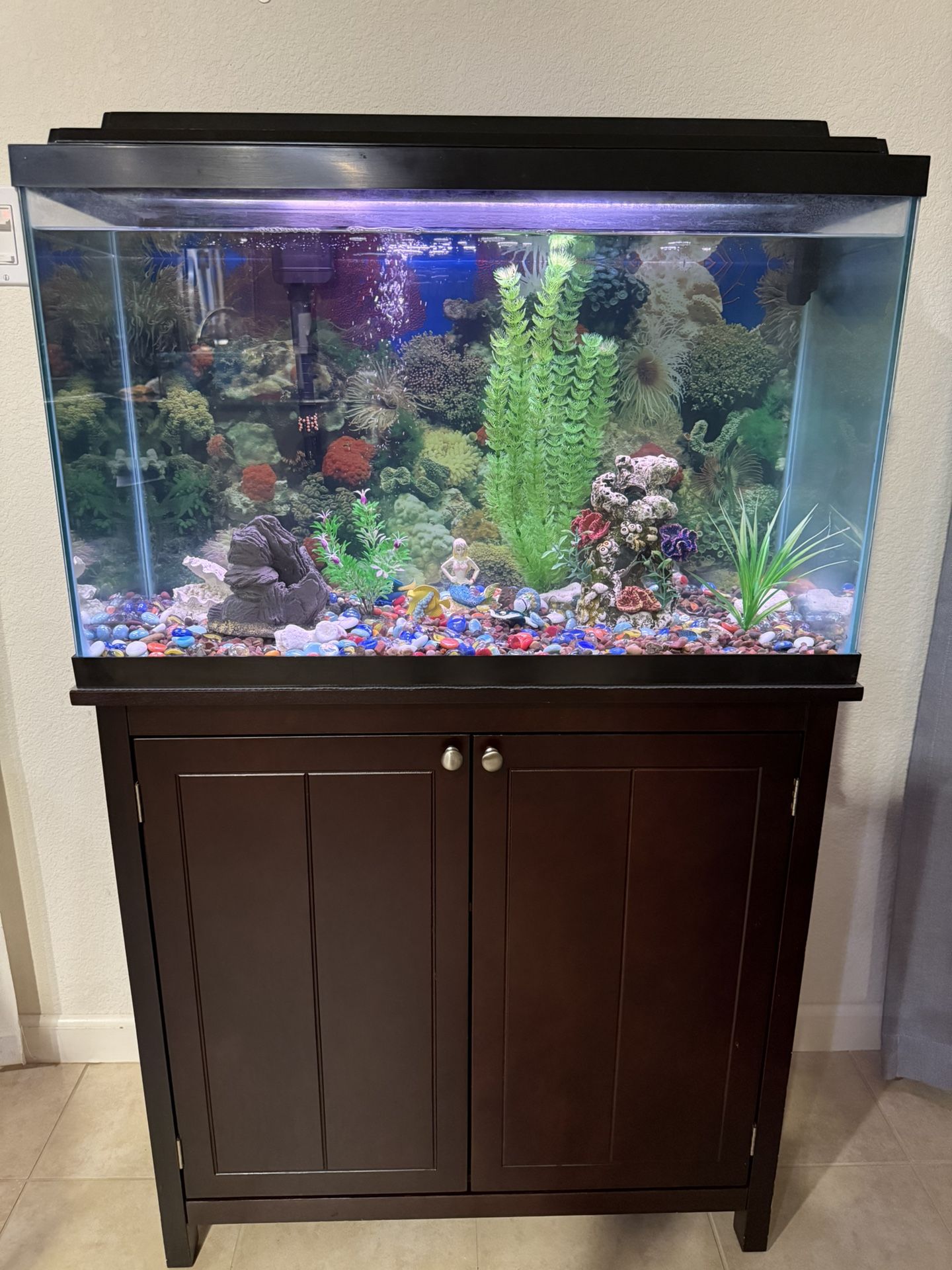 30 gal Fish Tank with Stand/Tools/Decor