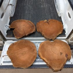 Rustic Wood Rounds - Mesquite