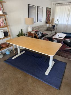 Ikea Electric Sit/stand Desk