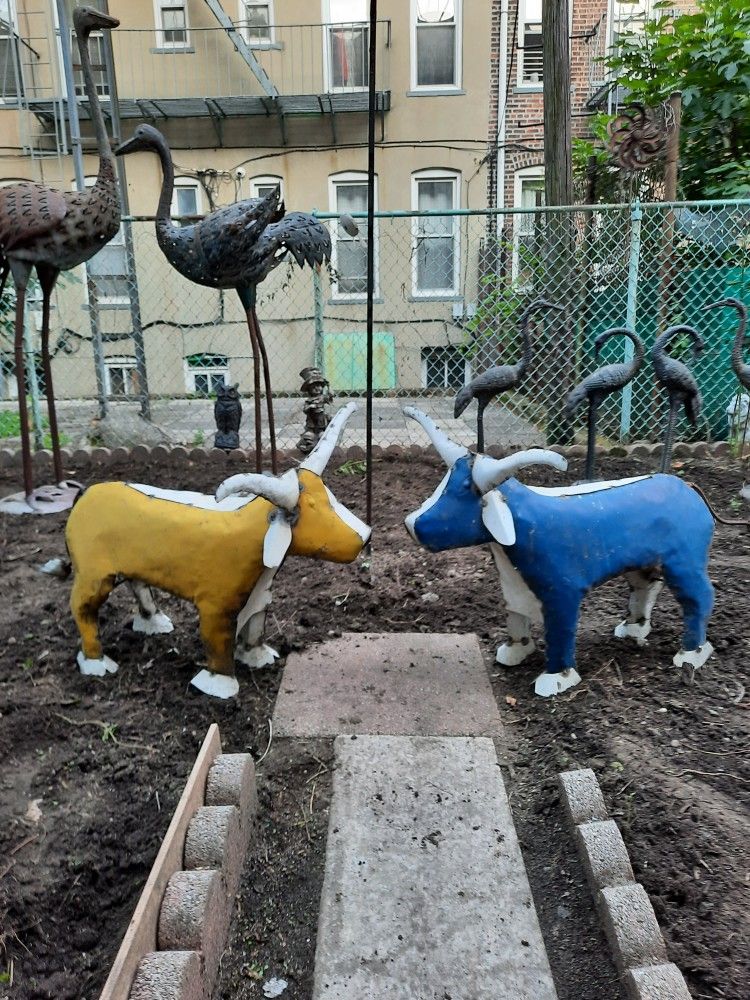 Large Metal Bulls. 22" tall & 40" wide. Can be spray painted to look brand new. $200 For Both