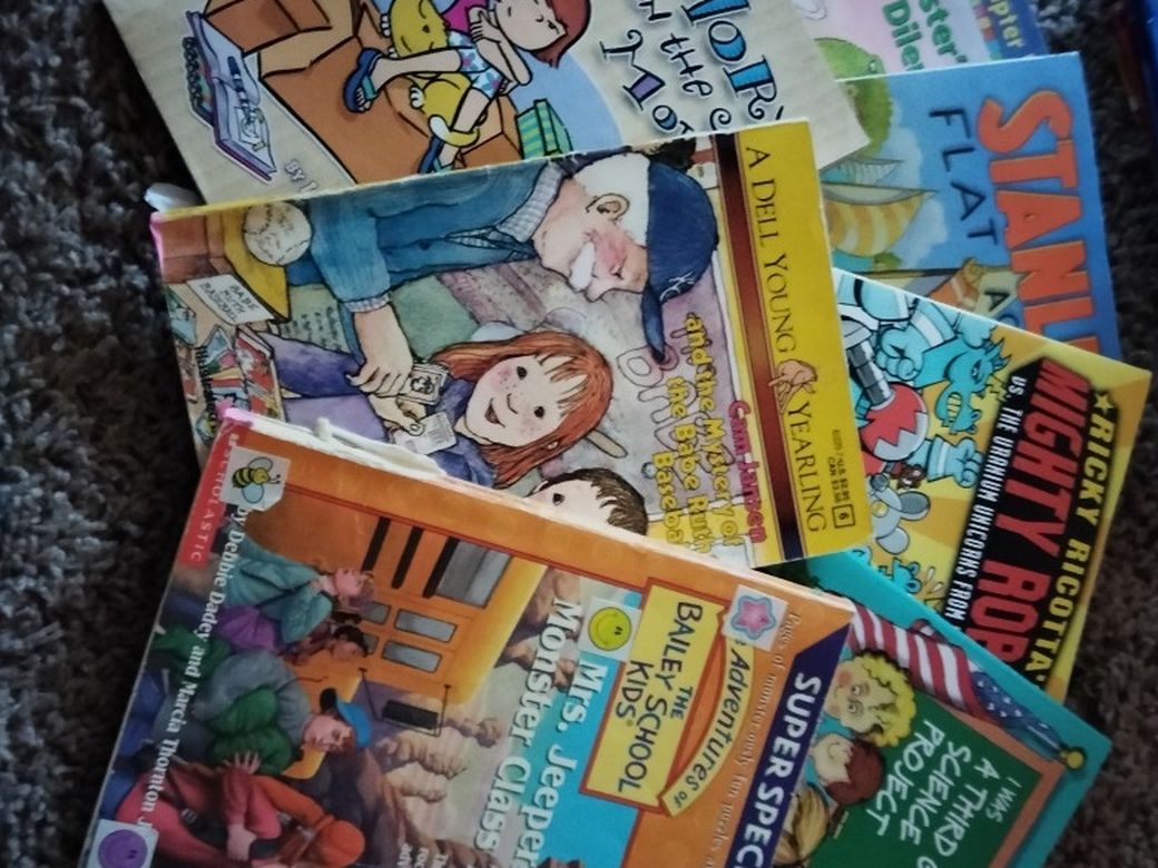 2nd To 3rd Grade Level Childrens Chapter Books