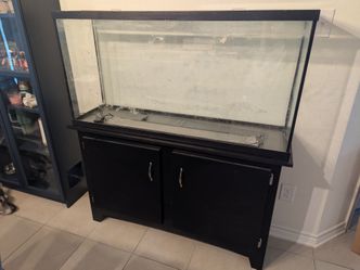 60 gallon fish tank