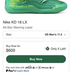 NIKE KD 18 LX 11 / 11.5
