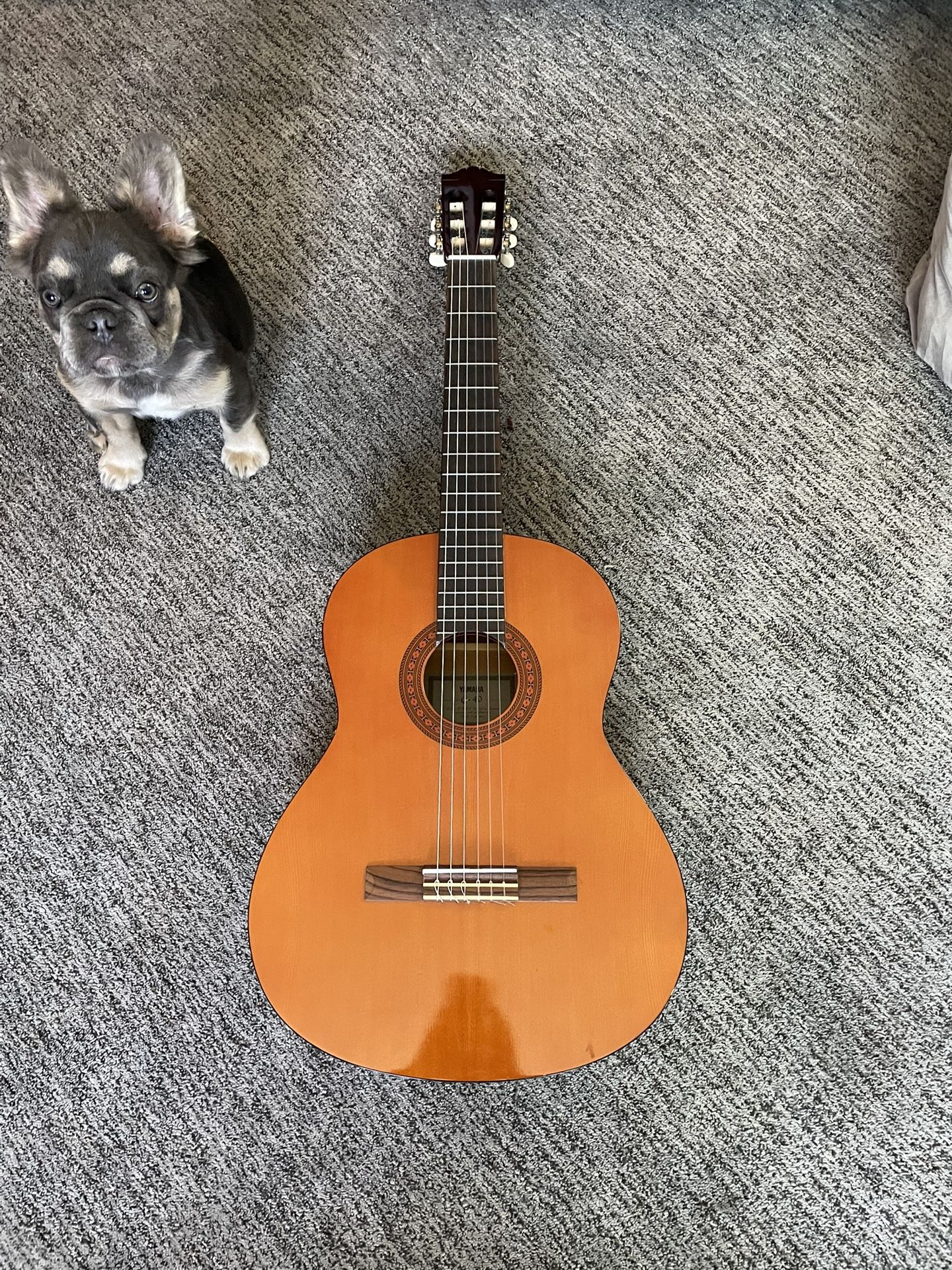 Classical Yamaha Guitar C-40