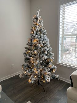 Christmas Tree