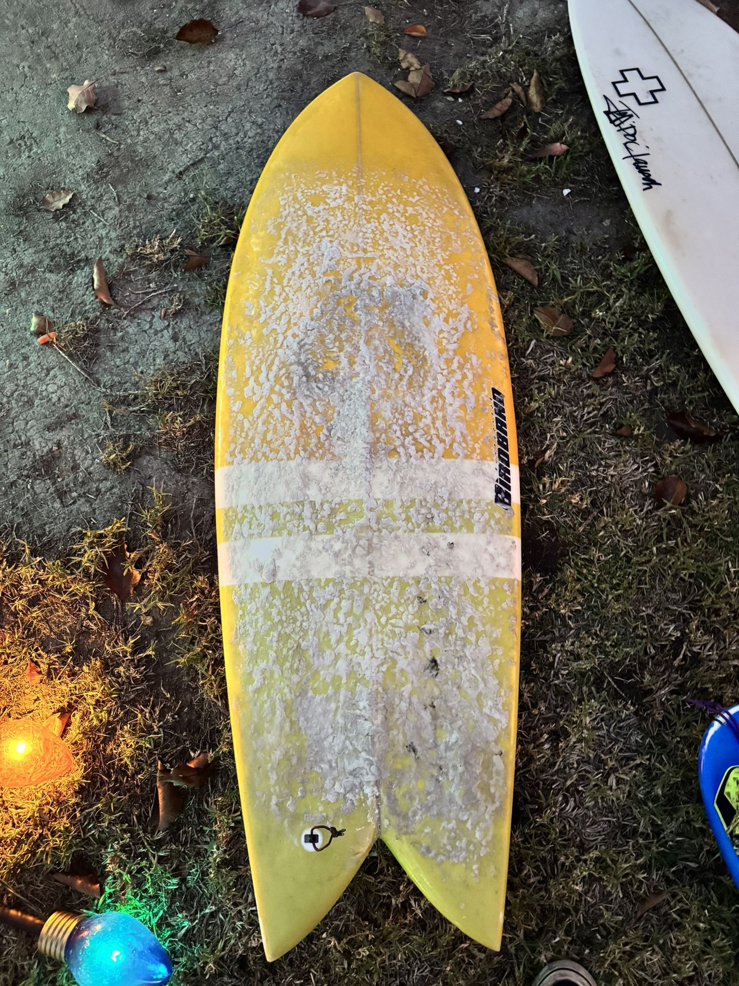 5’4 fish surfboard